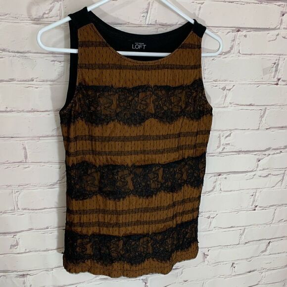 Loft small brown lace top - Picture 1 of 4
